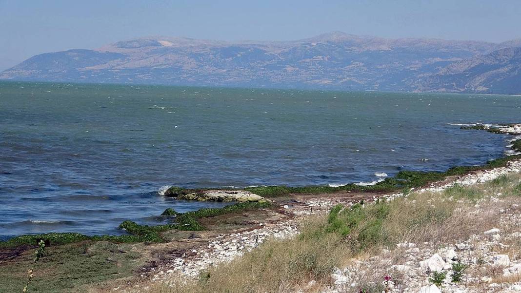 Eğirdir Gölü'nün bölünmesine 1 kilometre kaldı! Binlerce ölü su salyangozu karaya vurdu 9